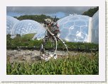 0941-Eden Project * 800 x 600 * (112KB)